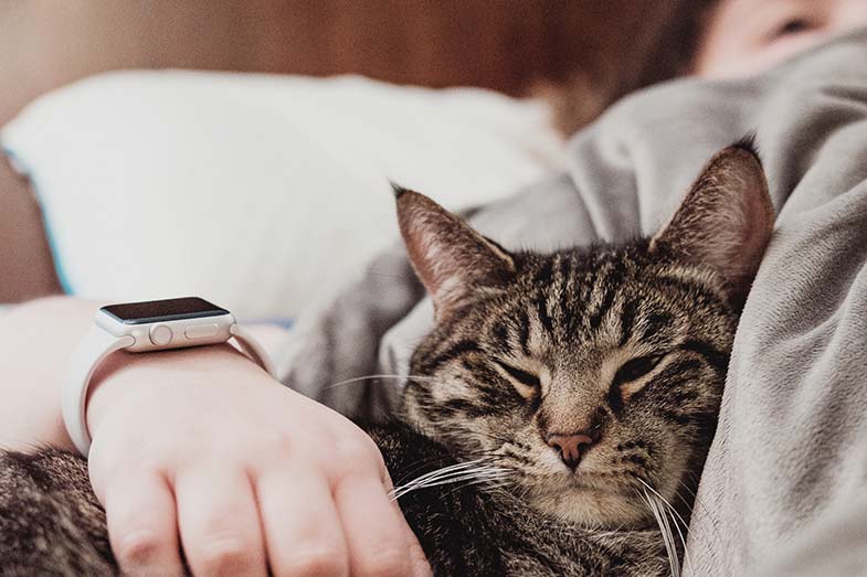 Person Sleeping with Cat